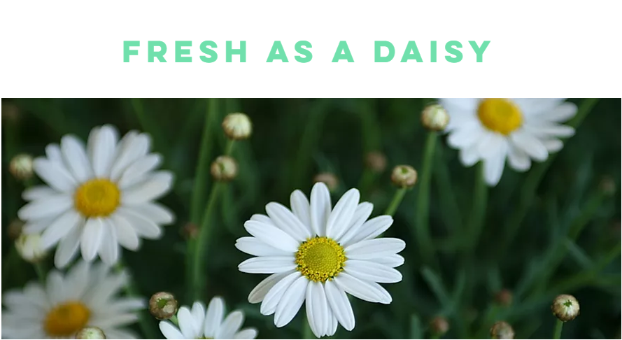 REIMAGE Beauty: Fresh as a Daisy